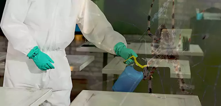 Why Buyers Still Want Homes With Pest Infestations in Cleveland, OH?