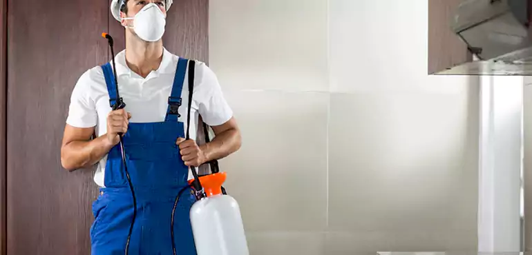 Why Cleveland Homeowners Choose Us When Pests Make Selling Difficult