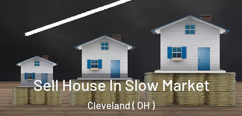  Sell House In Slow Market Cleveland ( OH )