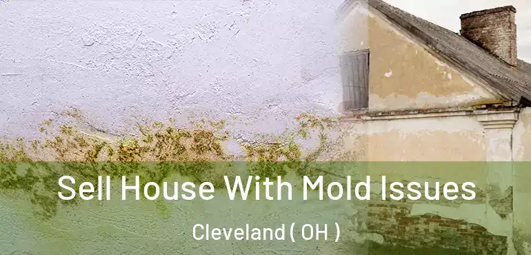  Sell House With Mold Issues Cleveland ( OH )